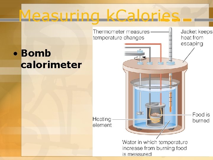 Measuring k. Calories • Bomb calorimeter Measuring k. Calories • Bomb calorimeter