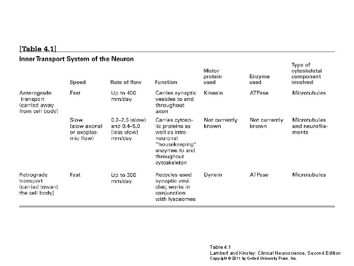 Table 4. 1 Lambert and Kinsley: Clinical Neuroscience, Second Edition Copyright © 2011 by