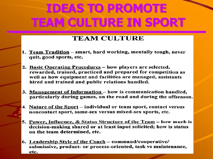IDEAS TO PROMOTE TEAM CULTURE IN SPORT 