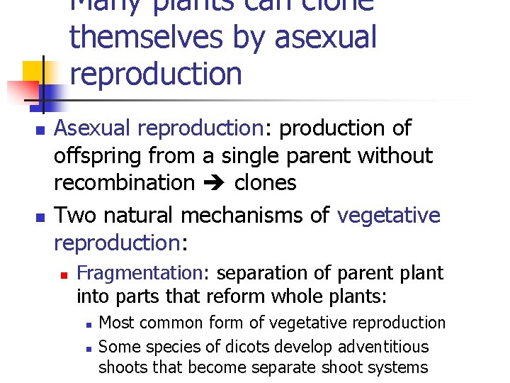 Many plants can clone themselves by asexual reproduction n n Asexual reproduction: production of