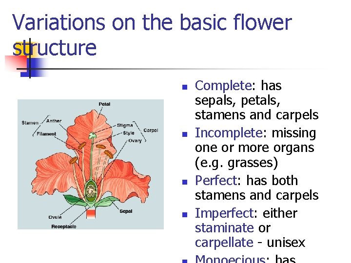Variations on the basic flower structure n n Complete: has sepals, petals, stamens and
