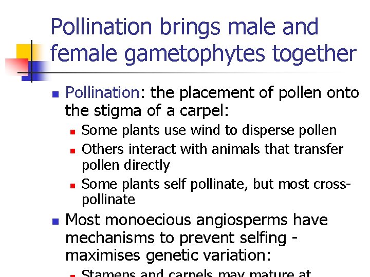 Pollination brings male and female gametophytes together n Pollination: the placement of pollen onto