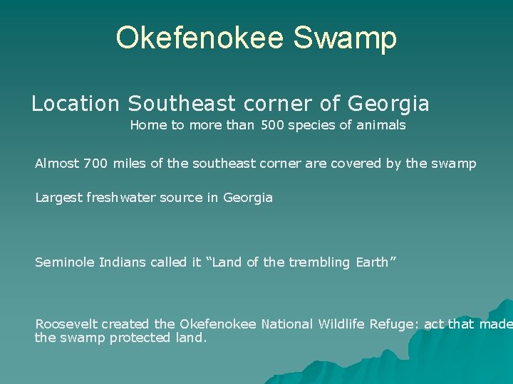 Okefenokee Swamp Location Southeast corner of Georgia Home to more than 500 species of