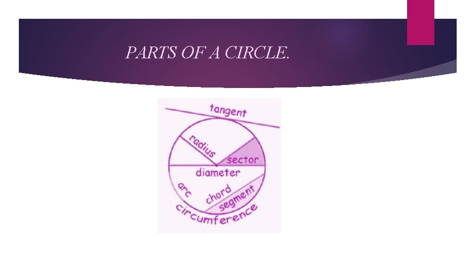 PARTS OF A CIRCLE. 