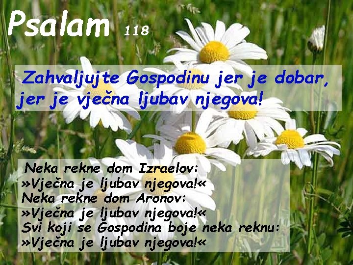 Psalam 118 Zahvaljujte Gospodinu jer je dobar, jer je vječna ljubav njegova! Neka rekne