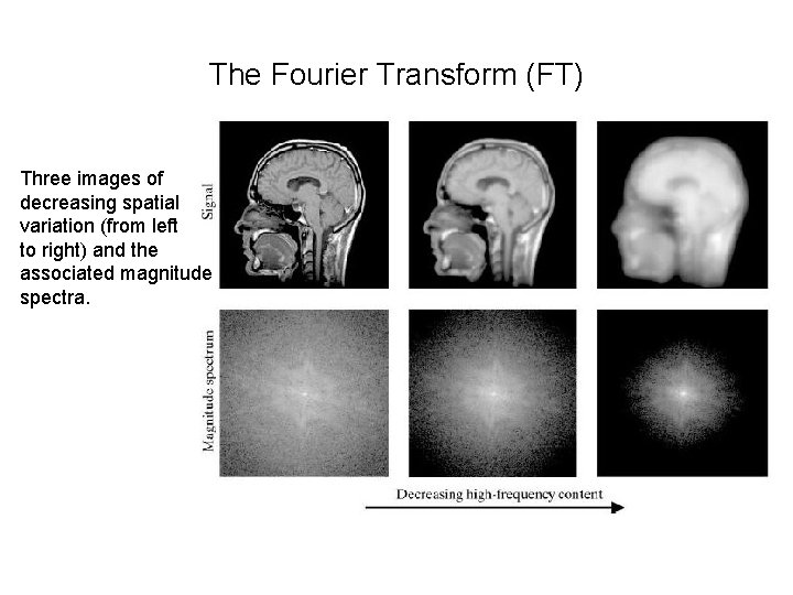 The Fourier Transform (FT) Three images of decreasing spatial variation (from left to right)