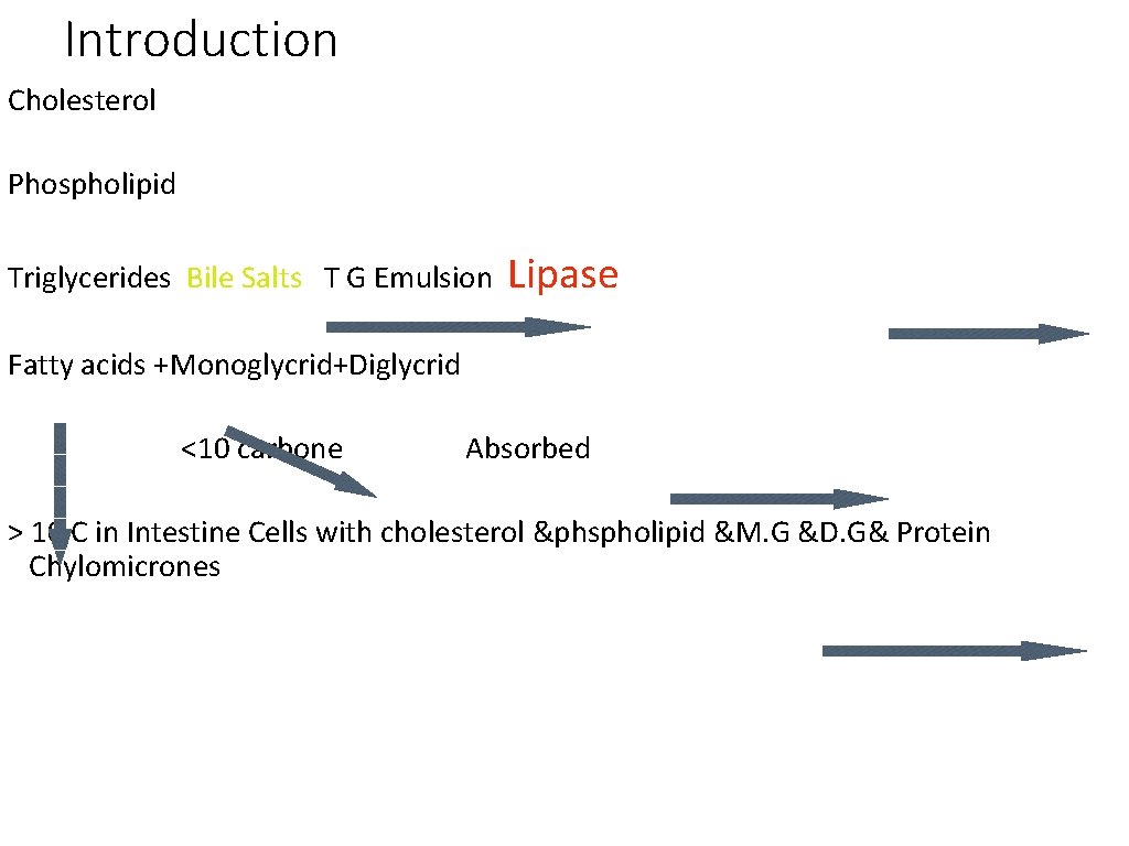 Introduction Cholesterol Phospholipid Triglycerides Bile Salts T G Emulsion Lipase Fatty acids +Monoglycrid+Diglycrid <10 Introduction Cholesterol Phospholipid Triglycerides Bile Salts T G Emulsion Lipase Fatty acids +Monoglycrid+Diglycrid <10