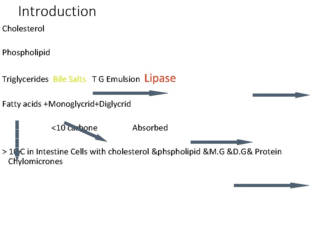 Introduction Cholesterol Phospholipid Triglycerides Bile Salts T G Emulsion Lipase Fatty acids +Monoglycrid+Diglycrid <10