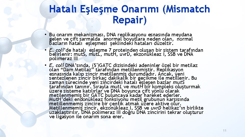 Hatalı Eşleşme Onarımı (Mismatch Repair) • Bu onarım mekanizması, DNA replikasyonu esnasında meydana gelen