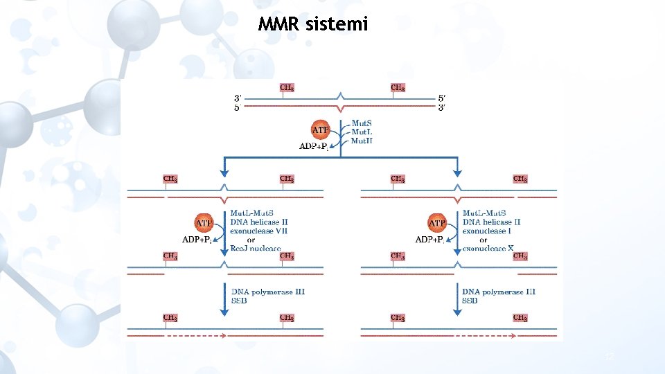 MMR sistemi 12 