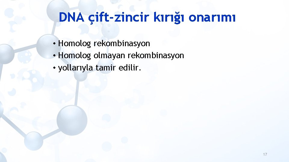 DNA çift-zincir kırığı onarımı • Homolog rekombinasyon • Homolog olmayan rekombinasyon • yollarıyla tamir