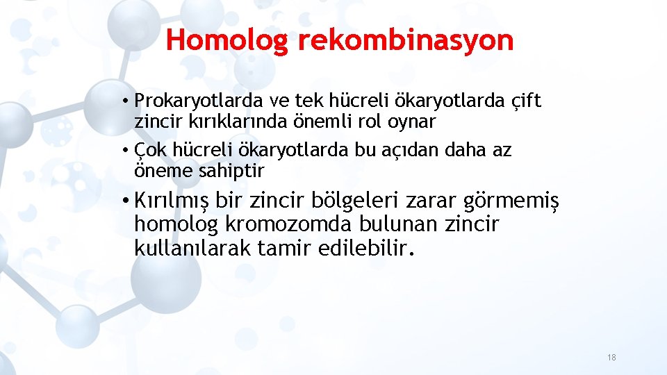 Homolog rekombinasyon • Prokaryotlarda ve tek hücreli ökaryotlarda çift zincir kırıklarında önemli rol oynar