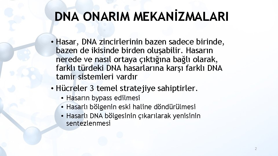 DNA ONARIM MEKANİZMALARI • Hasar, DNA zincirlerinin bazen sadece birinde, bazen de ikisinde birden