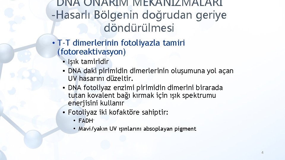 DNA ONARIM MEKANİZMALARI -Hasarlı Bölgenin doğrudan geriye döndürülmesi • T-T dimerlerinin fotoliyazla tamiri (fotoreaktivasyon)