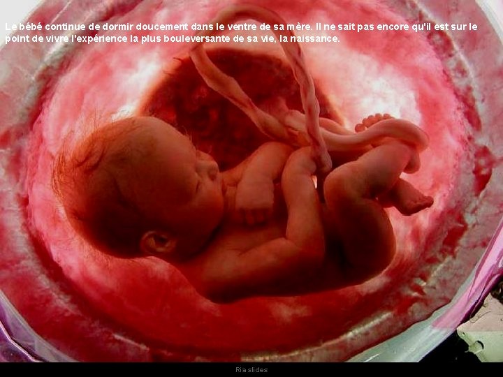 Le bébé continue de dormir doucement dans le ventre de sa mère. Il ne Le bébé continue de dormir doucement dans le ventre de sa mère. Il ne