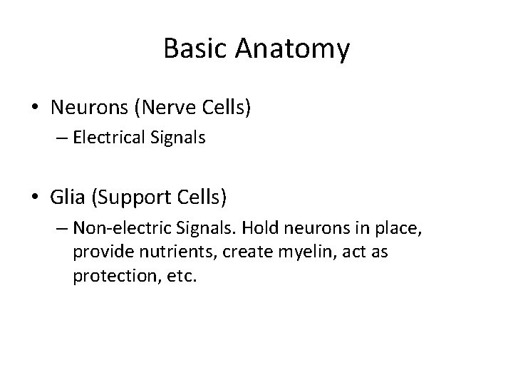 Basic Anatomy • Neurons (Nerve Cells) – Electrical Signals • Glia (Support Cells) –
