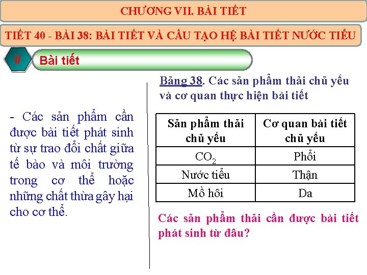 CHƯƠNG VII. BÀI TIẾT 40 - BÀI 38: BÀI TIẾT VÀ CẤU TẠO HỆ