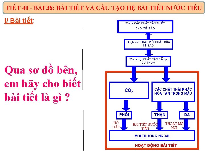 TIẾT 40 - BÀI 38: BÀI TIẾT VÀ CẤU TẠO HỆ BÀI TIẾT NƯỚC