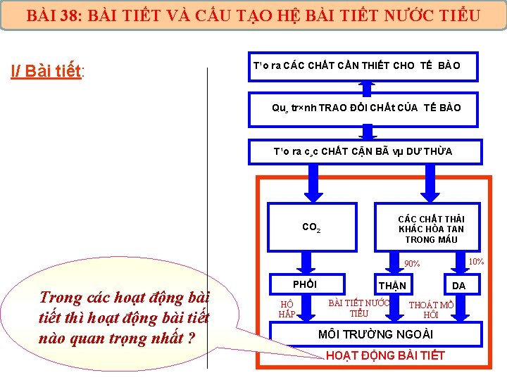 BÀI 38: BÀI TIẾT VÀ CẤU TẠO HỆ BÀI TIẾT NƯỚC TIỂU I/ Bài