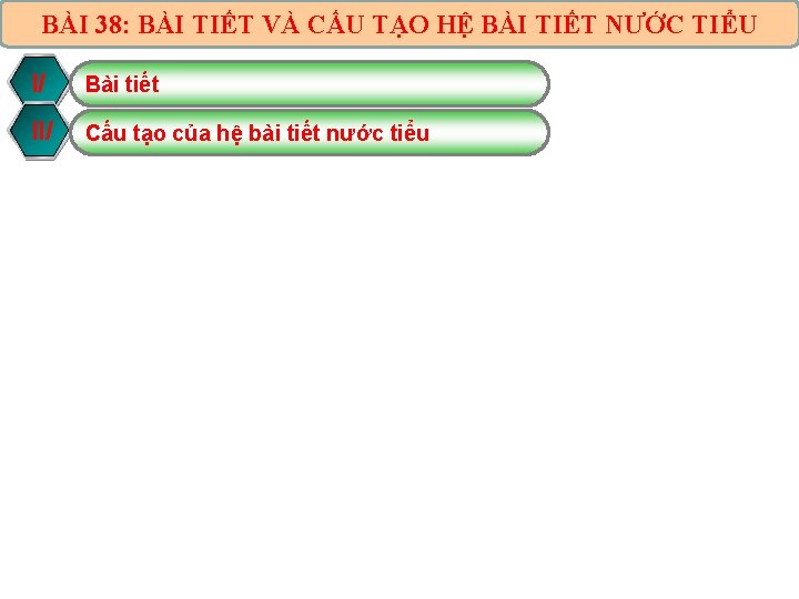 BÀI 38: BÀI TIẾT VÀ CẤU TẠO HỆ BÀI TIẾT NƯỚC TIỂU I/ Bài