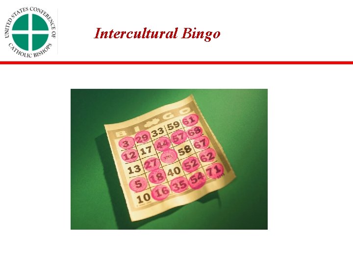Intercultural Bingo 