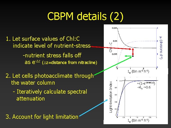 CBPM details (2) 2. Let cells photoacclimate through the water column - Iteratively calculate