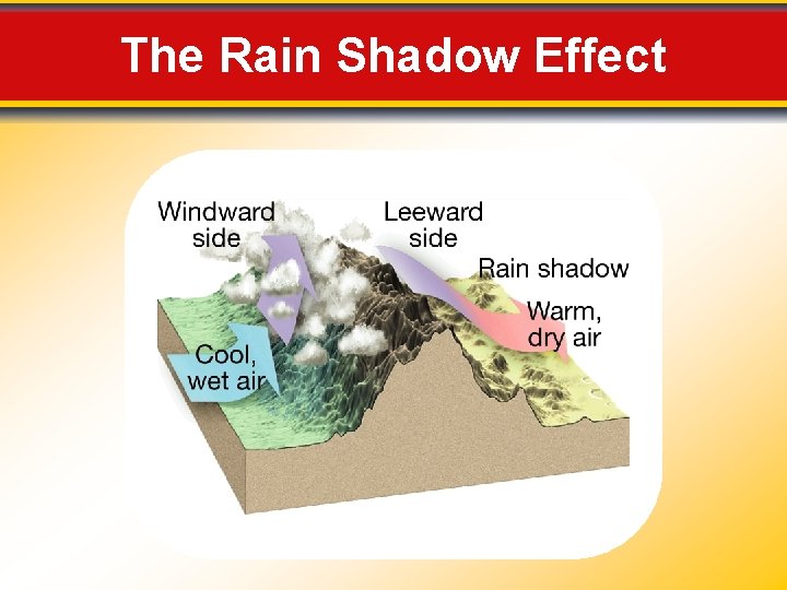 The Rain Shadow Effect 