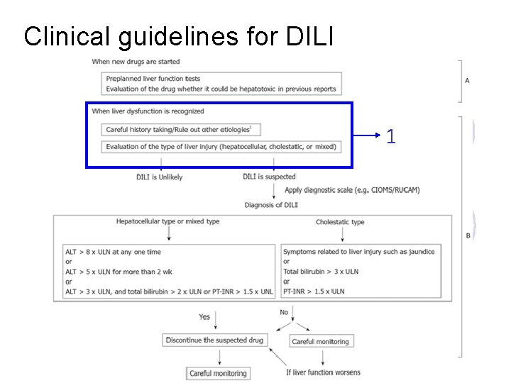Clinical guidelines for DILI 1 