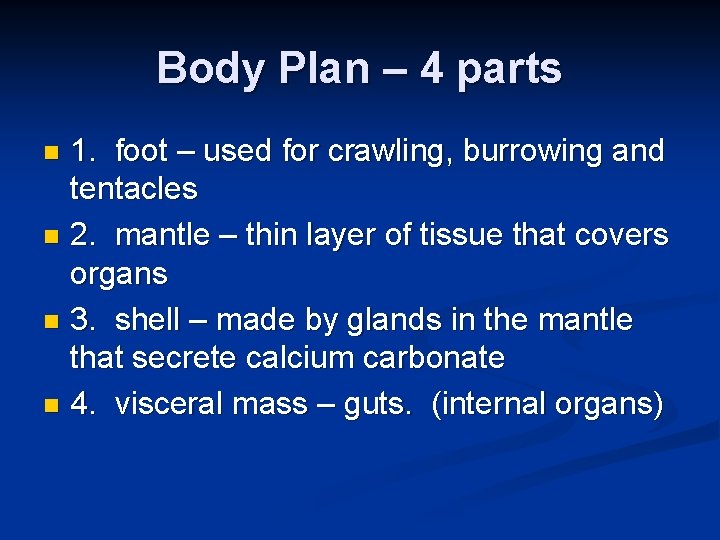 Body Plan – 4 parts 1. foot – used for crawling, burrowing and tentacles