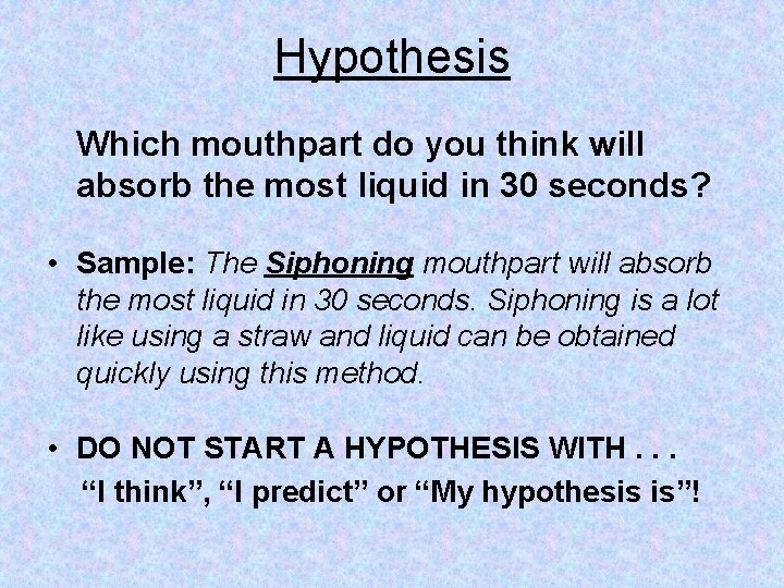 Hypothesis Which mouthpart do you think will absorb the most liquid in 30 seconds?