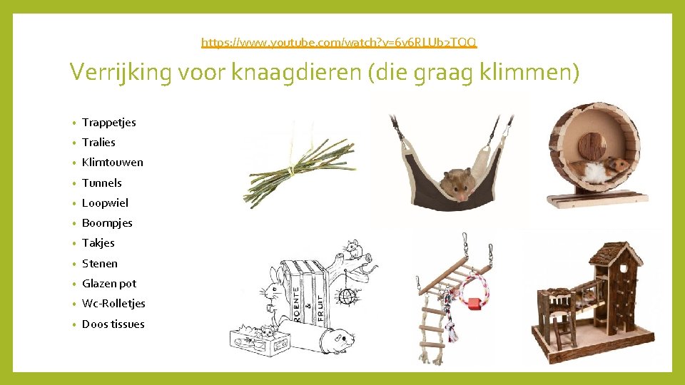 https: //www. youtube. com/watch? v=6 v 6 RLUb 2 TQQ Verrijking voor knaagdieren (die