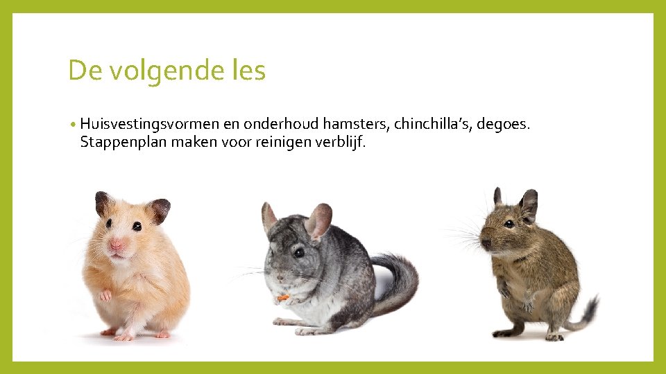 De volgende les • Huisvestingsvormen en onderhoud hamsters, chinchilla’s, degoes. Stappenplan maken voor reinigen