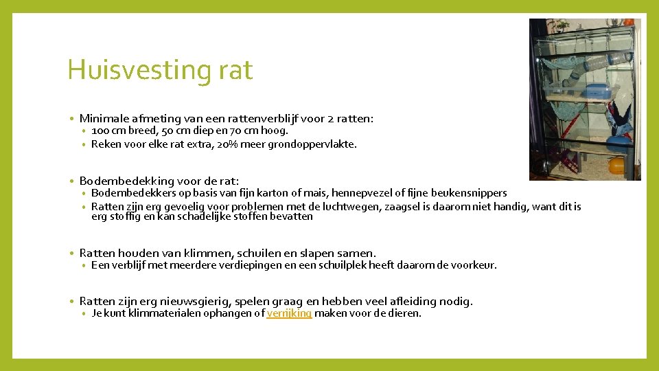 Huisvesting rat • Minimale afmeting van een rattenverblijf voor 2 ratten: • Bodembedekking voor