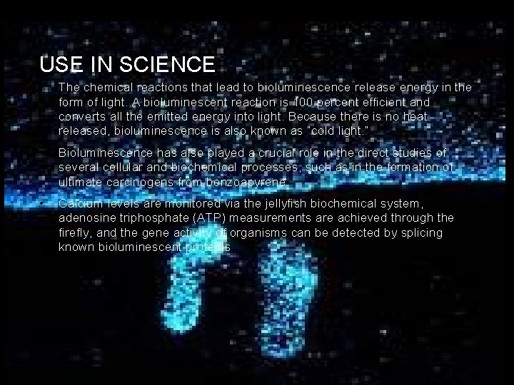 USE IN SCIENCE • The chemical reactions that lead to bioluminescence release energy in