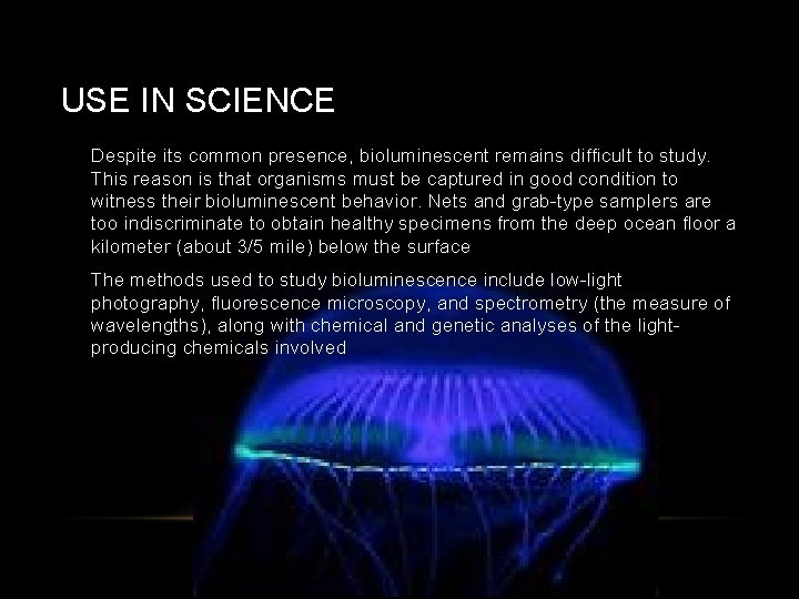 USE IN SCIENCE • Despite its common presence, bioluminescent remains difficult to study. This