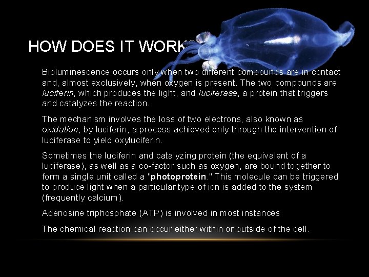 HOW DOES IT WORK? • Bioluminescence occurs only when two different compounds are in