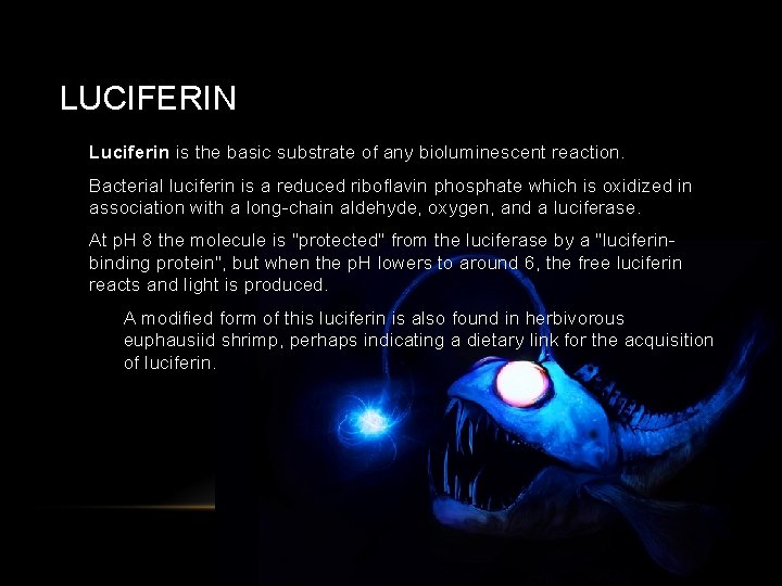 LUCIFERIN • Luciferin is the basic substrate of any bioluminescent reaction. • Bacterial luciferin