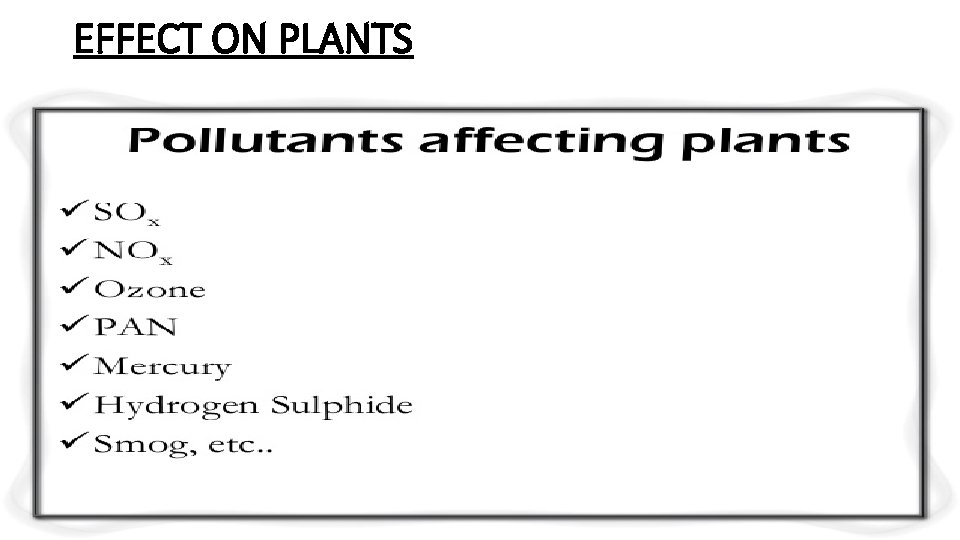 EFFECT ON PLANTS 