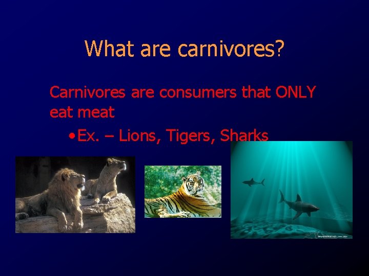 What are carnivores? Carnivores are consumers that ONLY eat meat • Ex. – Lions,
