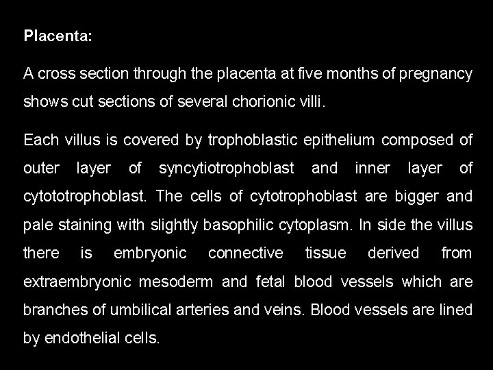 Placenta: A cross section through the placenta at five months of pregnancy shows cut