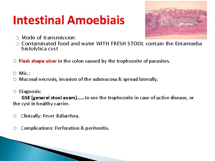 Intestinal Amoebiais � � Mode of transmission: Contaminated food and water WITH FRESH STOOL