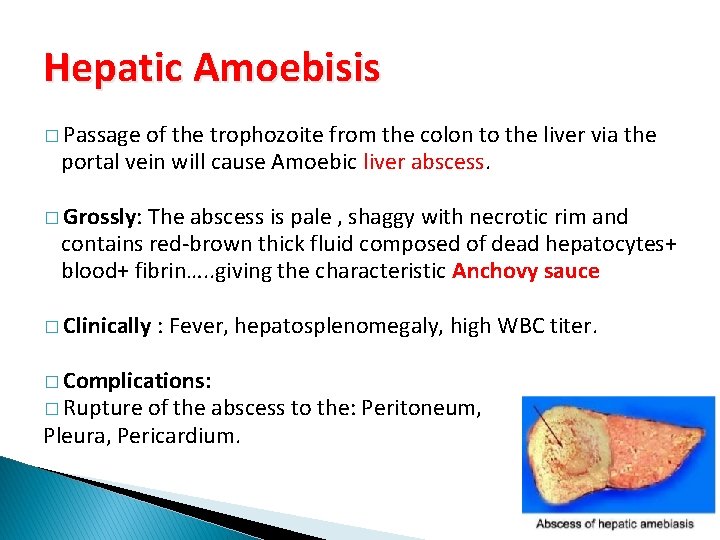 Hepatic Amoebisis � Passage of the trophozoite from the colon to the liver via