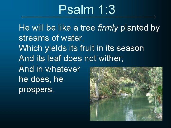 Psalm 1: 3 He will be like a tree firmly planted by streams of