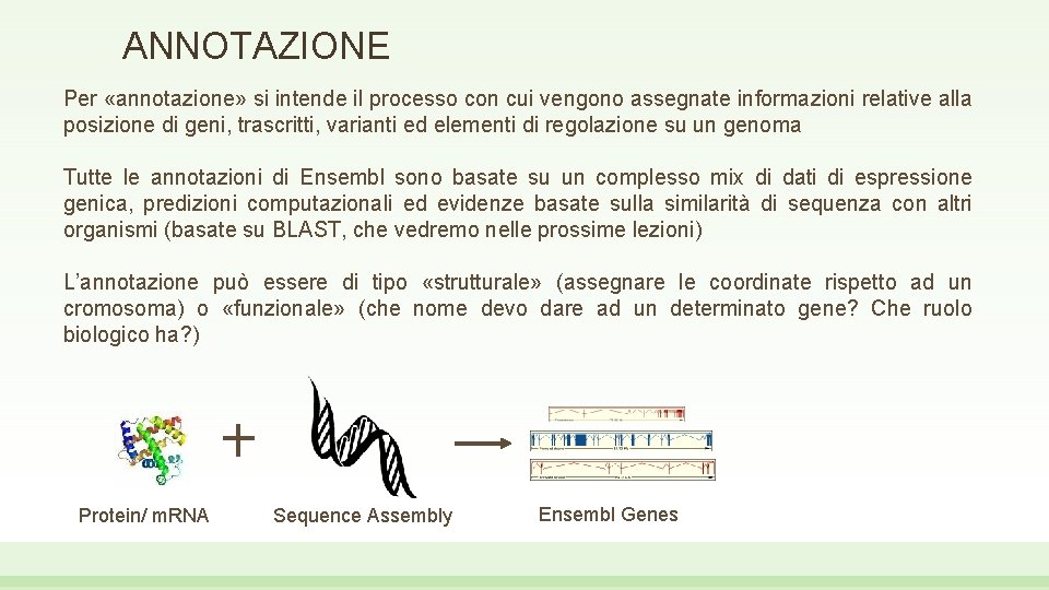 ANNOTAZIONE Per «annotazione» si intende il processo con cui vengono assegnate informazioni relative alla