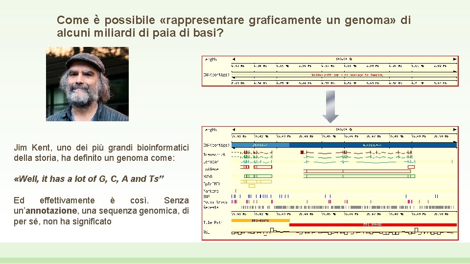 Come è possibile «rappresentare graficamente un genoma» di alcuni miliardi di paia di basi?