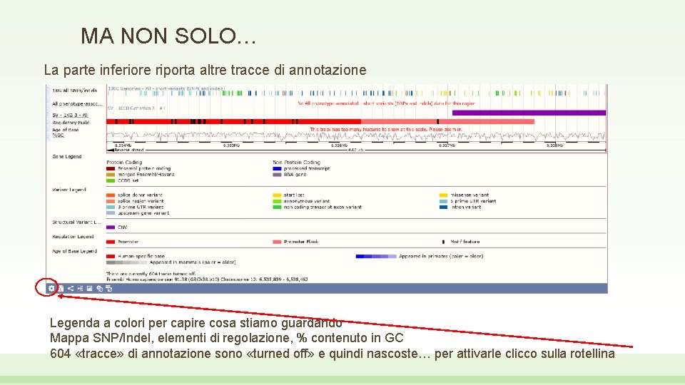 MA NON SOLO… La parte inferiore riporta altre tracce di annotazione Legenda a colori