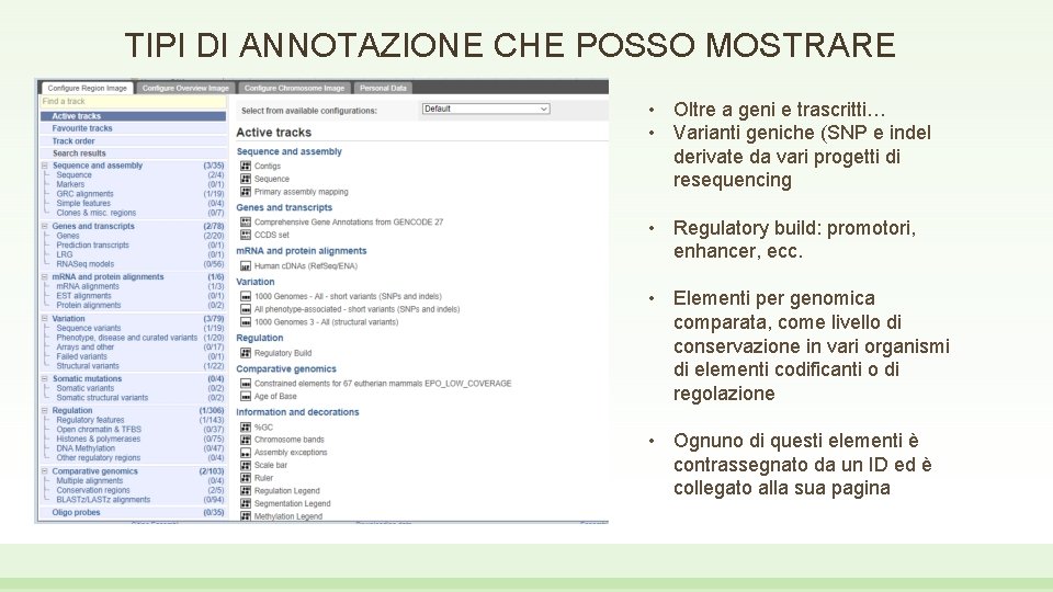 TIPI DI ANNOTAZIONE CHE POSSO MOSTRARE • Oltre a geni e trascritti… • Varianti