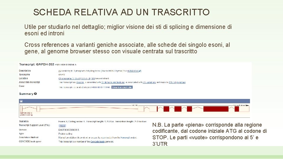 SCHEDA RELATIVA AD UN TRASCRITTO Utile per studiarlo nel dettaglio; miglior visione dei sti