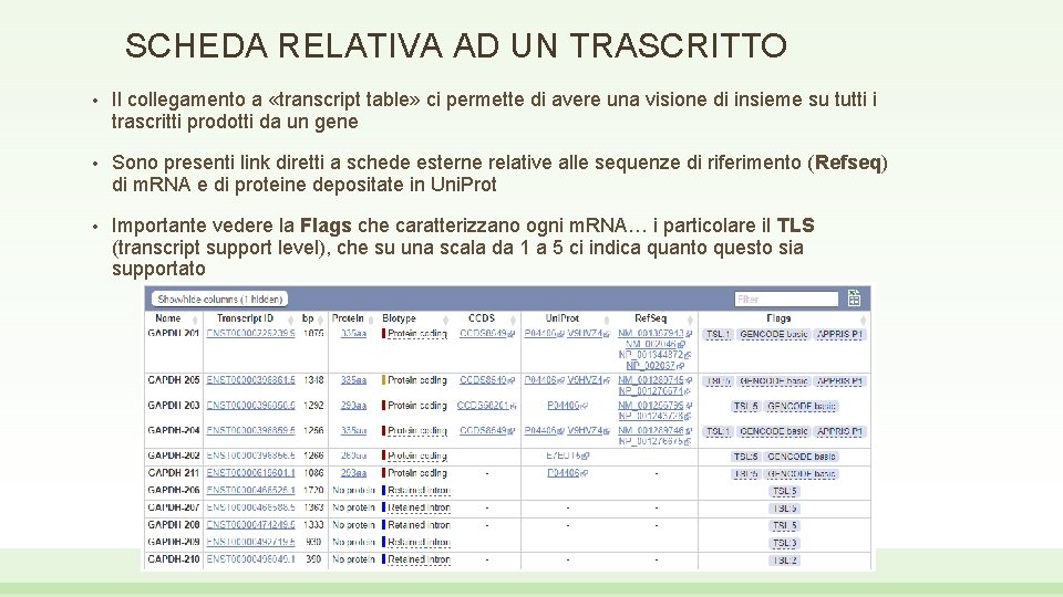 SCHEDA RELATIVA AD UN TRASCRITTO • Il collegamento a «transcript table» ci permette di