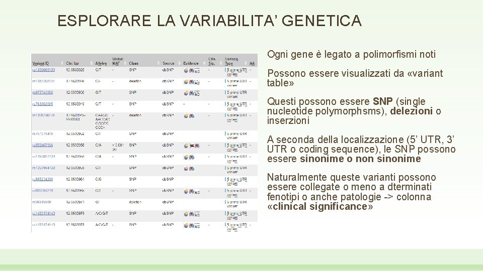 ESPLORARE LA VARIABILITA’ GENETICA Ogni gene è legato a polimorfismi noti Possono essere visualizzati